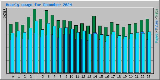 Hourly usage for December 2024