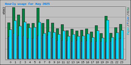 Hourly usage for May 2025
