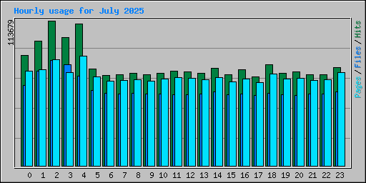 Hourly usage for July 2025