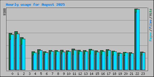 Hourly usage for August 2025