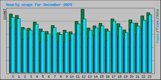 Hourly usage for December 2025