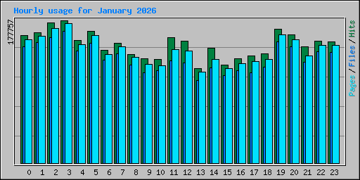 Hourly usage for January 2026