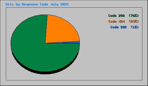 Hits by Response Code July 2025