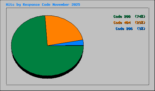 Hits by Response Code November 2025