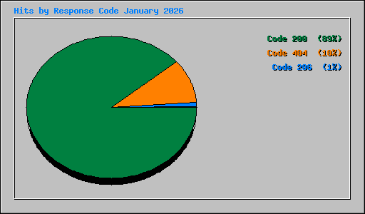 Hits by Response Code January 2026